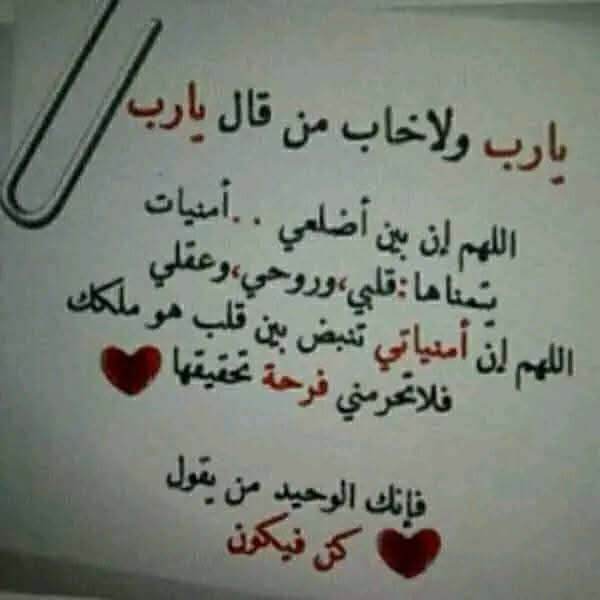 ✨Khatmah Musk tweet media