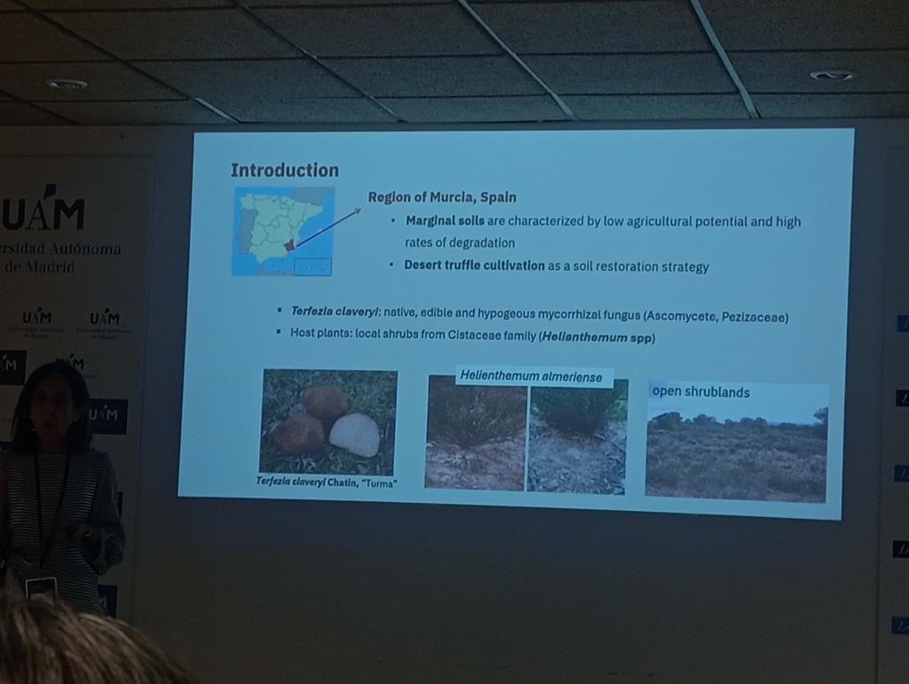Cultivos Emergentes (@nutricropspain) on Twitter photo Continuamos aprendiendo con el cultivo en ecológico de la #desserttruffle o "Turma".
👉<a href="/UMU/">Universidad Murcia</a>
<a href="/CEBAS_CSIC/">CEBAS-CSIC</a> <a href="/CICYTEX/">CICYTEX</a> <a href="/UAM_Madrid/">UAM Autónoma Madrid</a> <a href="/iata_csic/">IATA CSIC</a> <a href="/irtacat/">IRTA</a> <a href="/ITACYL/">Innovación agroalimentaria - JCyL</a> <a href="/redplantmicro/">redplantmicro</a> <a href="/PROCEREALtech/">PROCEREALtech</a> <a href="/ibis_sevilla/">IBiS</a> Continuamos aprendiendo con el cultivo en ecológico de la #desserttruffle o "Turma".
👉<a href="/UMU/">Universidad Murcia</a>
<a href="/CEBAS_CSIC/">CEBAS-CSIC</a> <a href="/CICYTEX/">CICYTEX</a> <a href="/UAM_Madrid/">UAM Autónoma Madrid</a> <a href="/iata_csic/">IATA CSIC</a> <a href="/irtacat/">IRTA</a> <a href="/ITACYL/">Innovación agroalimentaria - JCyL</a> <a href="/redplantmicro/">redplantmicro</a> <a href="/PROCEREALtech/">PROCEREALtech</a> <a href="/ibis_sevilla/">IBiS</a>
