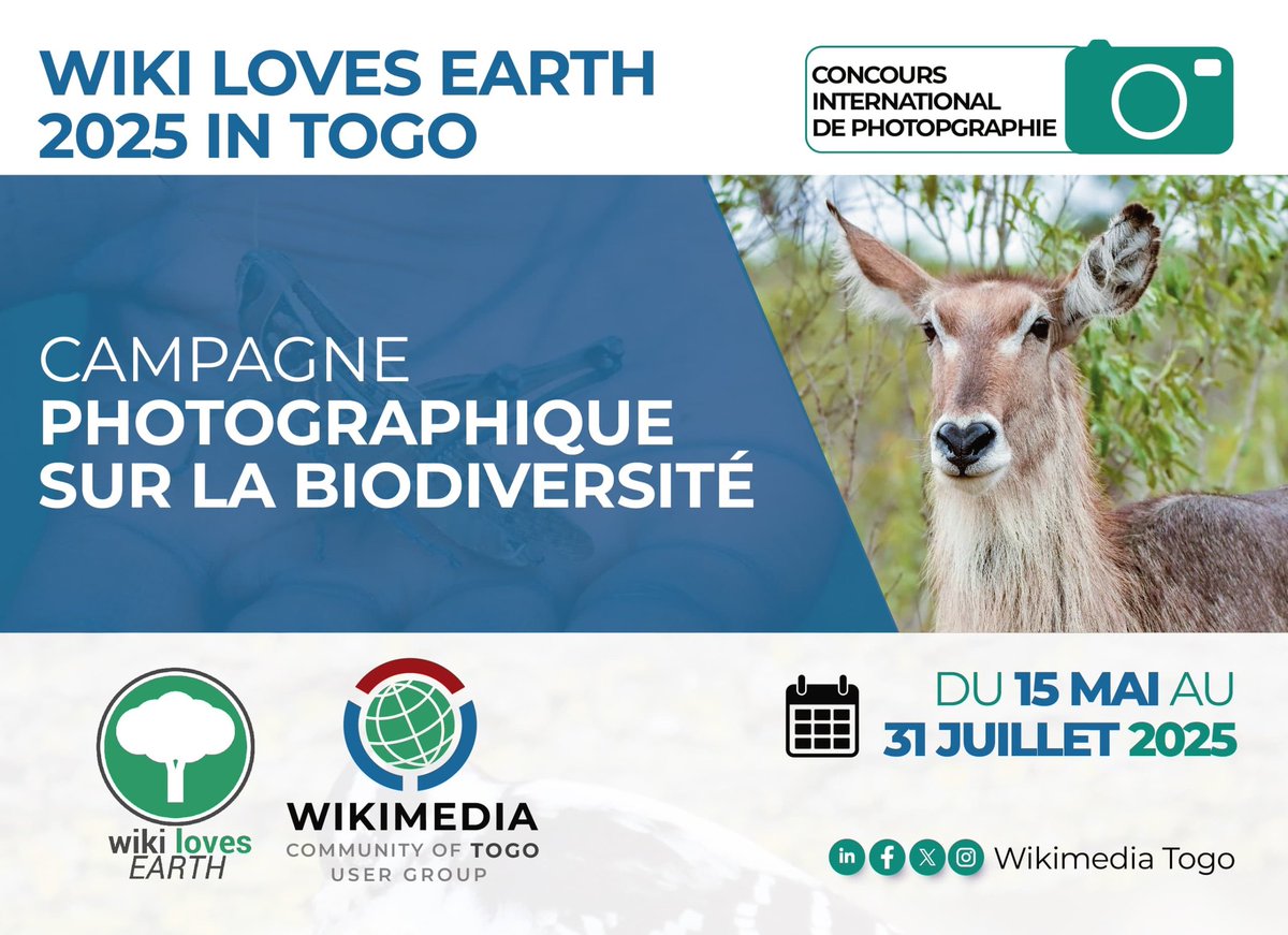 📸 Le concours #WikiLovesEarth 2025 est lancé au 🇹🇬 !
Photographiez la biodiversité de notre pays et partagez-la avec le monde 🌿🦎
📅 Du 15 mai au 31 juillet
➡️ Téléversez ici : commons.wikimedia.org/wiki/Commons:W…
#WLE2025 #WikimediaTogo