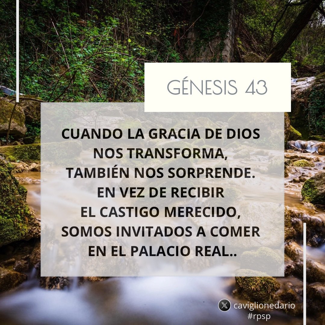 Hoy leemos Génesis 43.
#rpsp
#PrimeroDios
#ArgentinaOra247
#ReavivadosPorSuPalabra