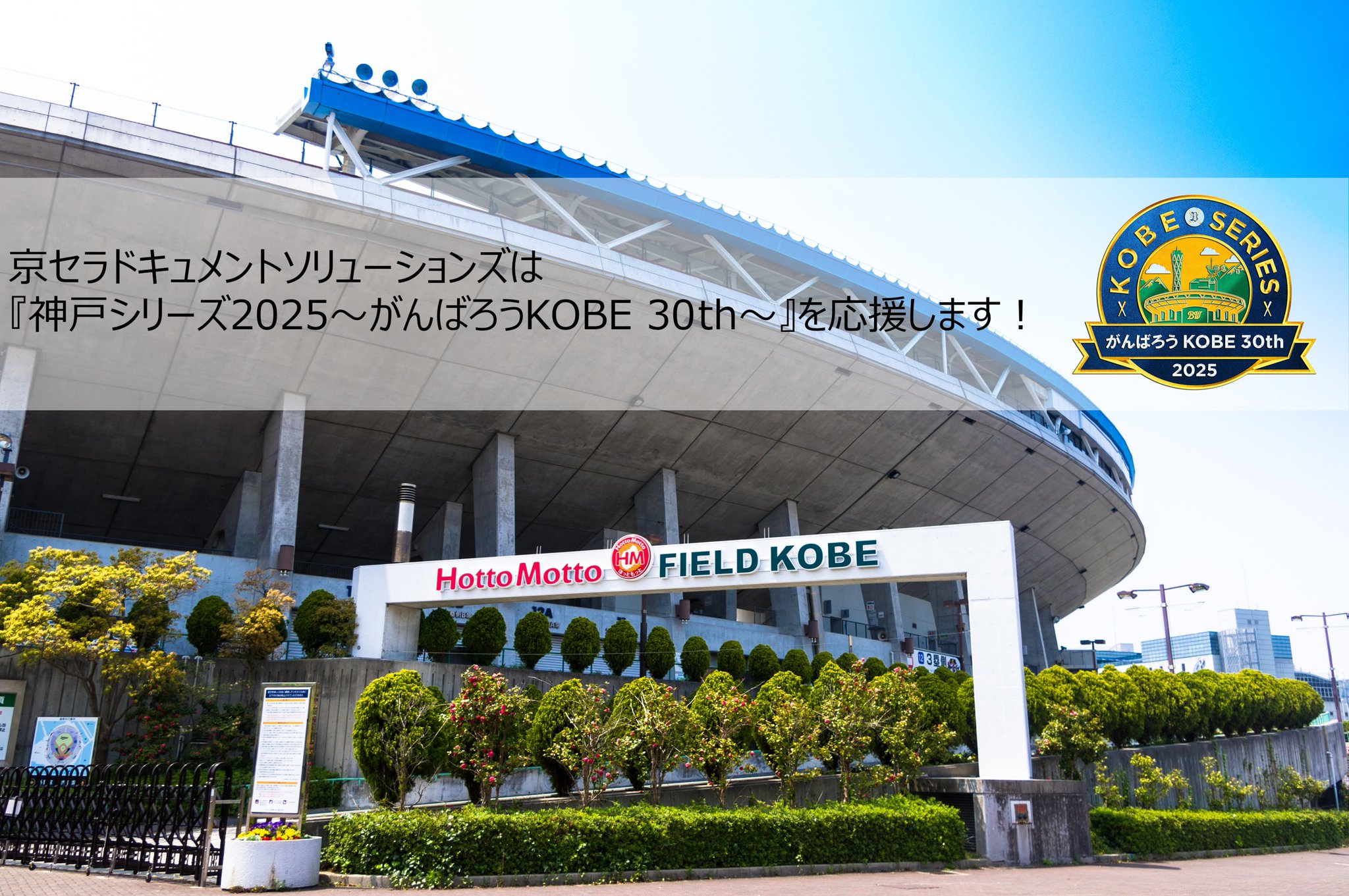 オリックス 現品限りのお買得品】プロ野球 オリックス・バファローズ 安全