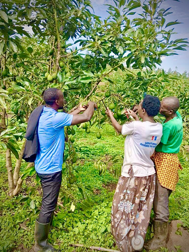 BOMBE YA KAYONZA🚀💣 tweet media