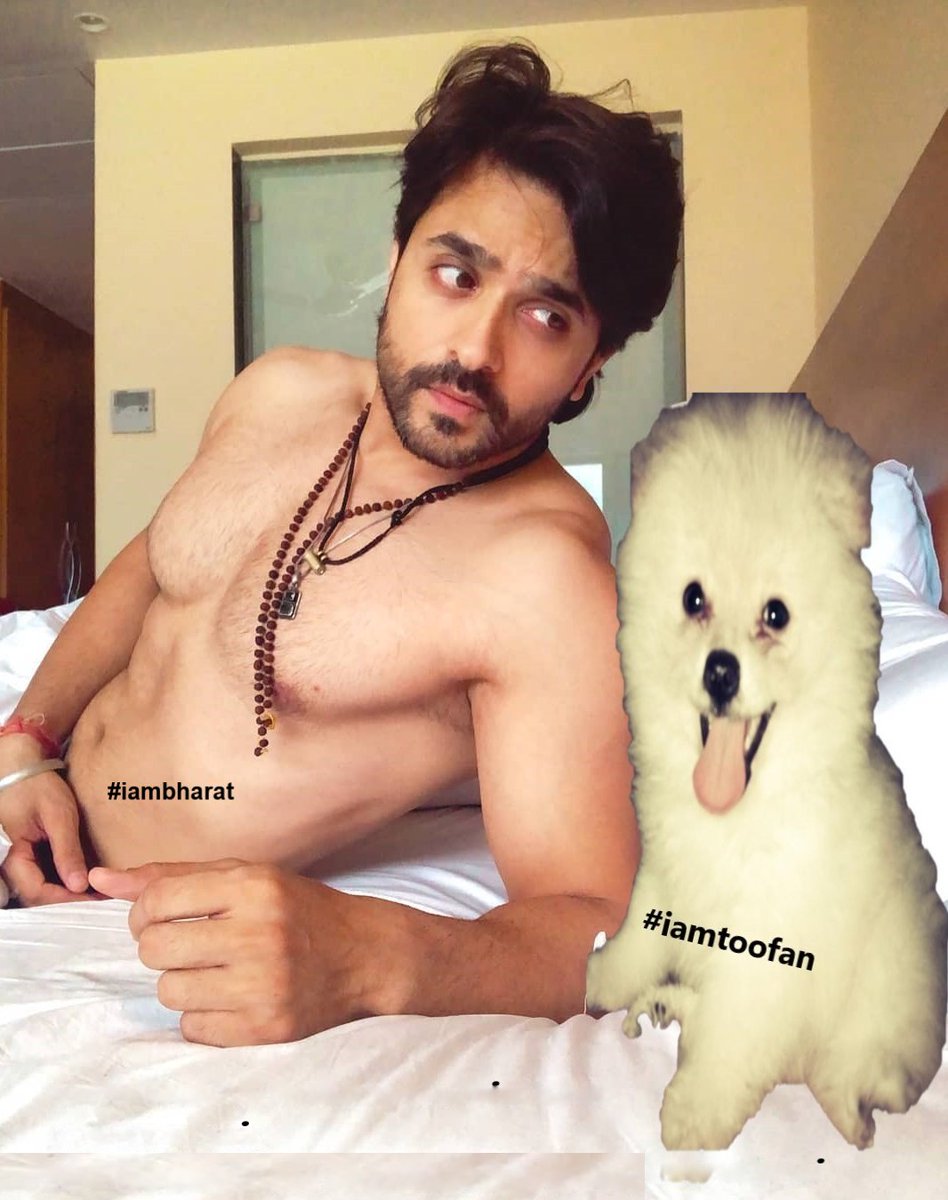 SireenBorotikar's tweet image. Here&apos;s Toofy&apos;s reply to top right corner.. 😍❤️
some more @ashish30sharma #BornToCreate #EkNumber