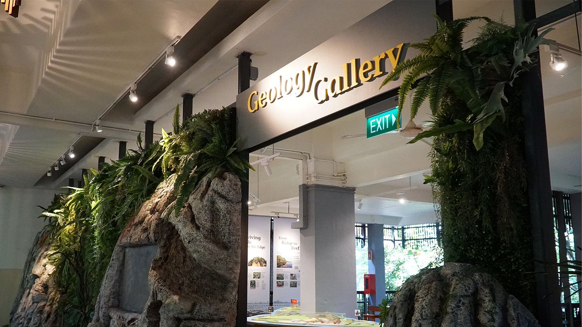 Join us for the Go Green 2025 Tour of the Geology Gallery on 25th June! Uncover Singapore's rich &amp; unique geological history to understand the significance of preserving our precious landscapes. Register now: bit.ly/4dHQNH8 
#SG60