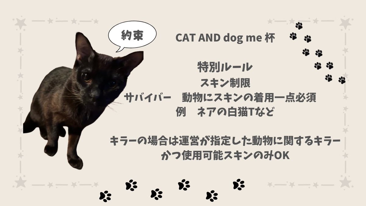 KKch24004877's tweet photo. ついに解禁！KKがやりたかった企画！

🐶cat and dogs me杯😺

参加条件は一つ！犬猫を飼ってる方なら誰でも参加できます！VCも無し、運営が組んだ即席チームで我が家のペットの写真をマッチ後に運営に提出して頂きポイント加算していき試合をして頂きます🐕
応募詳細は後日！
細かいルールは画像参照! https://t.co/VfcTZFrp4J