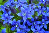 Love Nature tweet media
