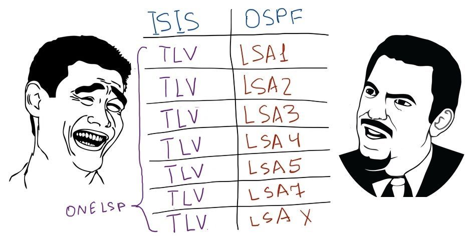 OrhanErgunCCDE's tweet image. Only Expert Network Engineers can relate. Efficiency of IS-IS LSP header, compared to OSPF LSAs..  #Routing #Networking #OrhanErgun #Knowledge