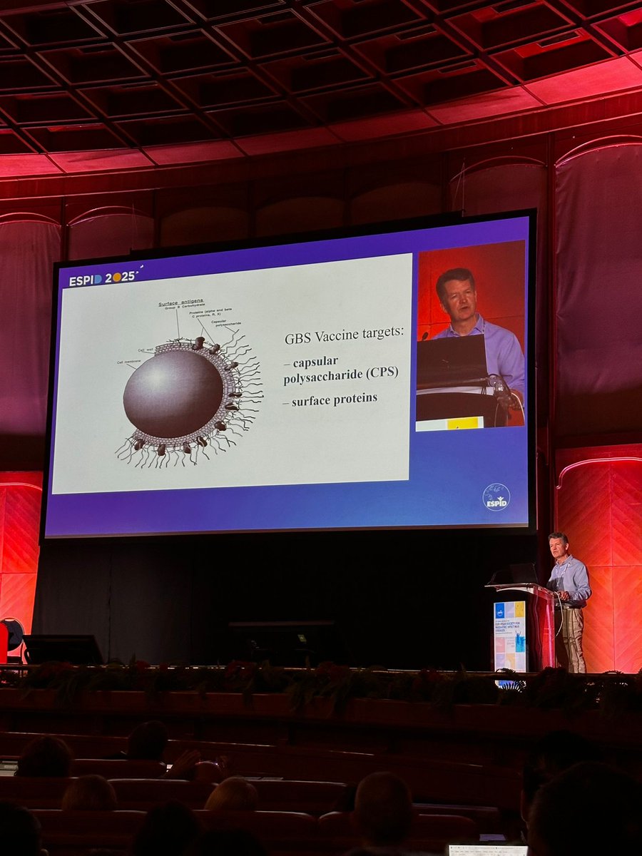 StGeorges_VI's tweet photo. This week on @ESPIDsociety , our very own Professor Paul Heath, from the #SGVI, presented on Group B Streptococcus (#GBS) and the current status of GBS vaccines in the UK.
#ESPID2025 #PIDs #ChildHealth #PaediatricInfectiousDiseases #ESPIDInspires https://t.co/HHvJDL220B