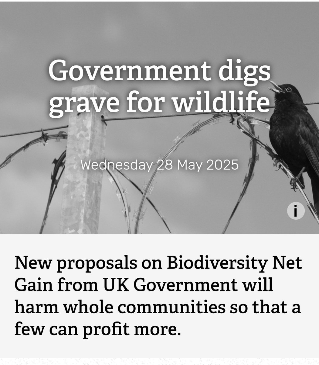 Govt proposals to effectively dismantle ELMS and BNG are incredibly worrying. 

Sites of all sizes play a crucial role in recovering, restoring and connecting so much habitat across the country.

These initiatives have so much potential. Nature cannot afford another regression.