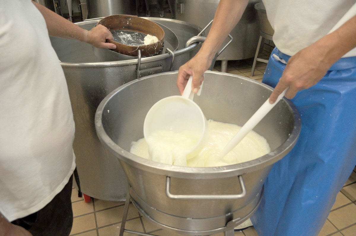 businessamnl's tweet image. Belgische kaasproductie steeg met 25 procent in 2024 businessam.be/belgische-kaas… #BelgischeKaas #Kaasproductie #DairyIndustry #KaasLiefhebbers #Voedselproductie