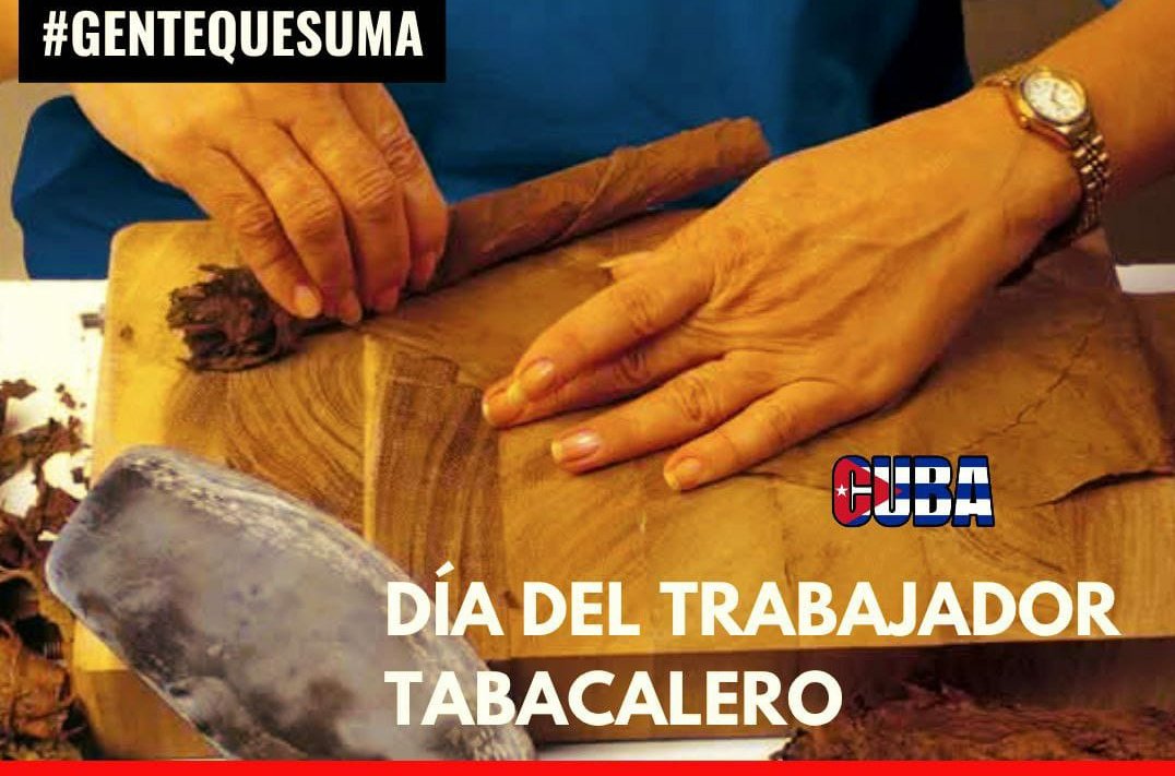 Felicitamos a todos los tabacaleros en su Día, con la exhortación a continuar aportando cada vez más a la economía: #Cuba necesita del esfuerzo de cada uno de sus hijos. #PorCubaJuntosCreamos