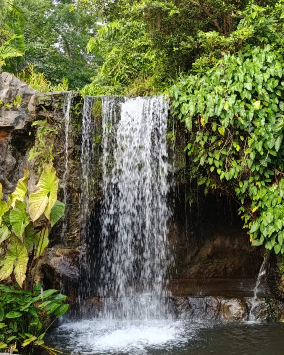 Regenerative Technologies Lab tweet media