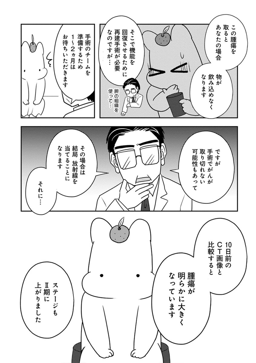 癌の告知から10日でステージが上がった話(2/3)

#漫画が読めるハッシュタグ #がん 