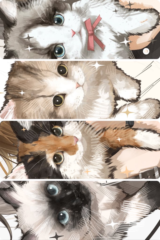 𓃠CATS🫶🤍🤎🖤
 #我ながら天才なお顔4選