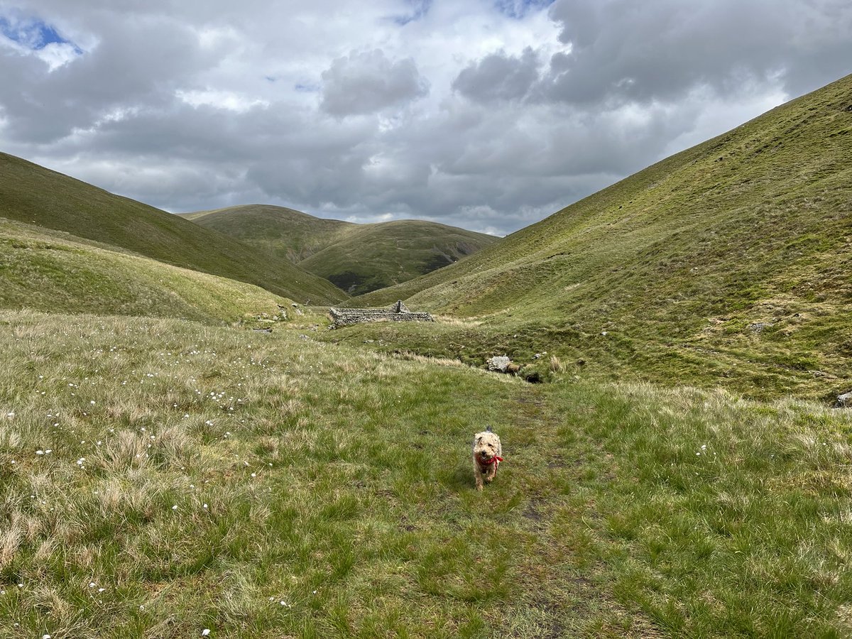 Up on the fells yesterday, often described as a ruined barn. It’s actually a work of art by Andy Goldsworthy.