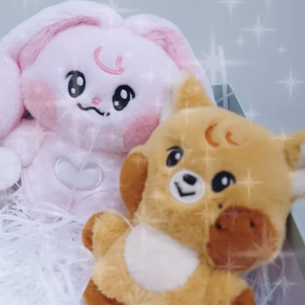 ✨✨✨✨