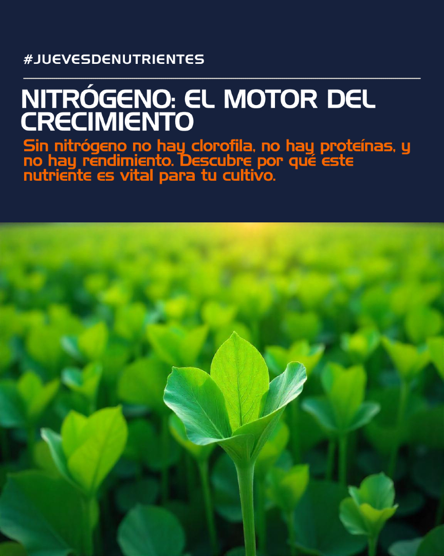 CSR LABORATORIO tweet media