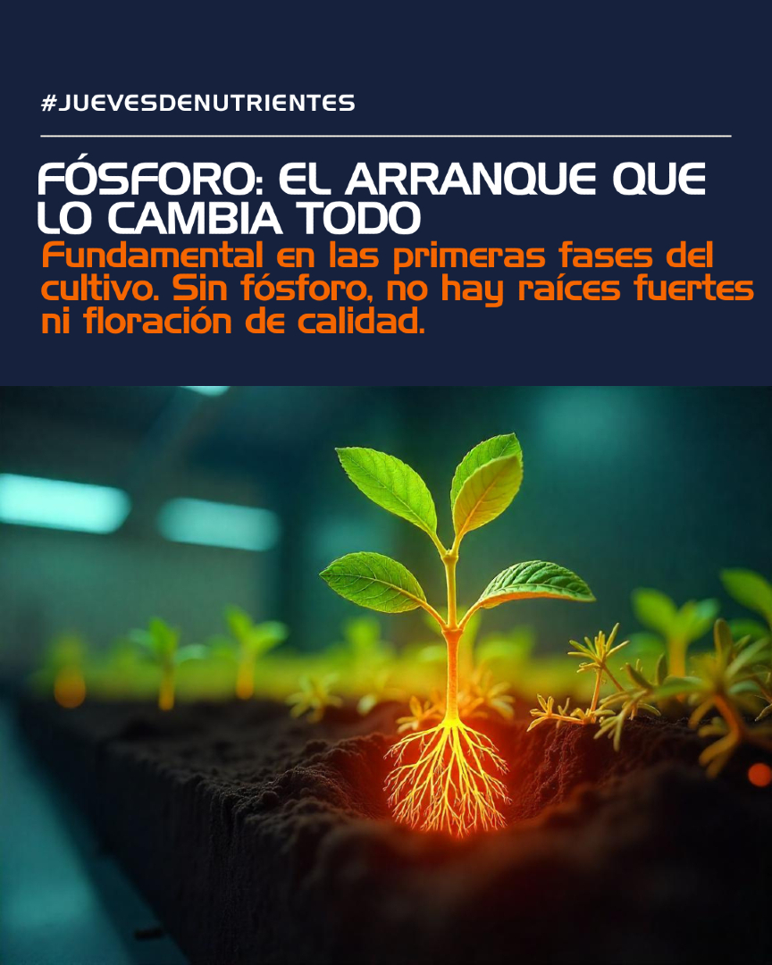 CSR LABORATORIO tweet media