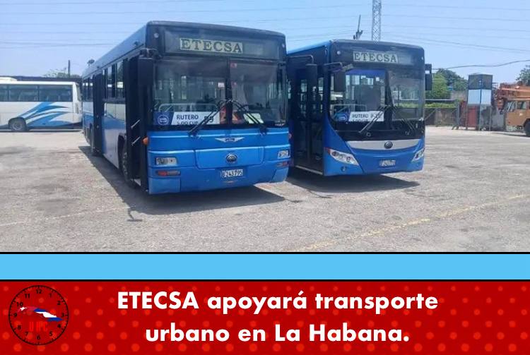 CONAVIL - Empresa de Construcción y Montaje (@conavil_ecm) on Twitter photo ETECSA pondrá a disposición en La Habana sus ómnibus para transportación urbana de pasajeros.
Estos cómodos vehículos comenzarán operaciones en rutas de la ciudad tan pronto como finalicen servicio destinado a los trabajadores de su Empresa.
<a href="/Conavil_ECM/">CONAVIL - Empresa de Construcción y Montaje</a> #LatirAvileño #CiegoEn26 ETECSA pondrá a disposición en La Habana sus ómnibus para transportación urbana de pasajeros.
Estos cómodos vehículos comenzarán operaciones en rutas de la ciudad tan pronto como finalicen servicio destinado a los trabajadores de su Empresa.
<a href="/Conavil_ECM/">CONAVIL - Empresa de Construcción y Montaje</a> #LatirAvileño #CiegoEn26