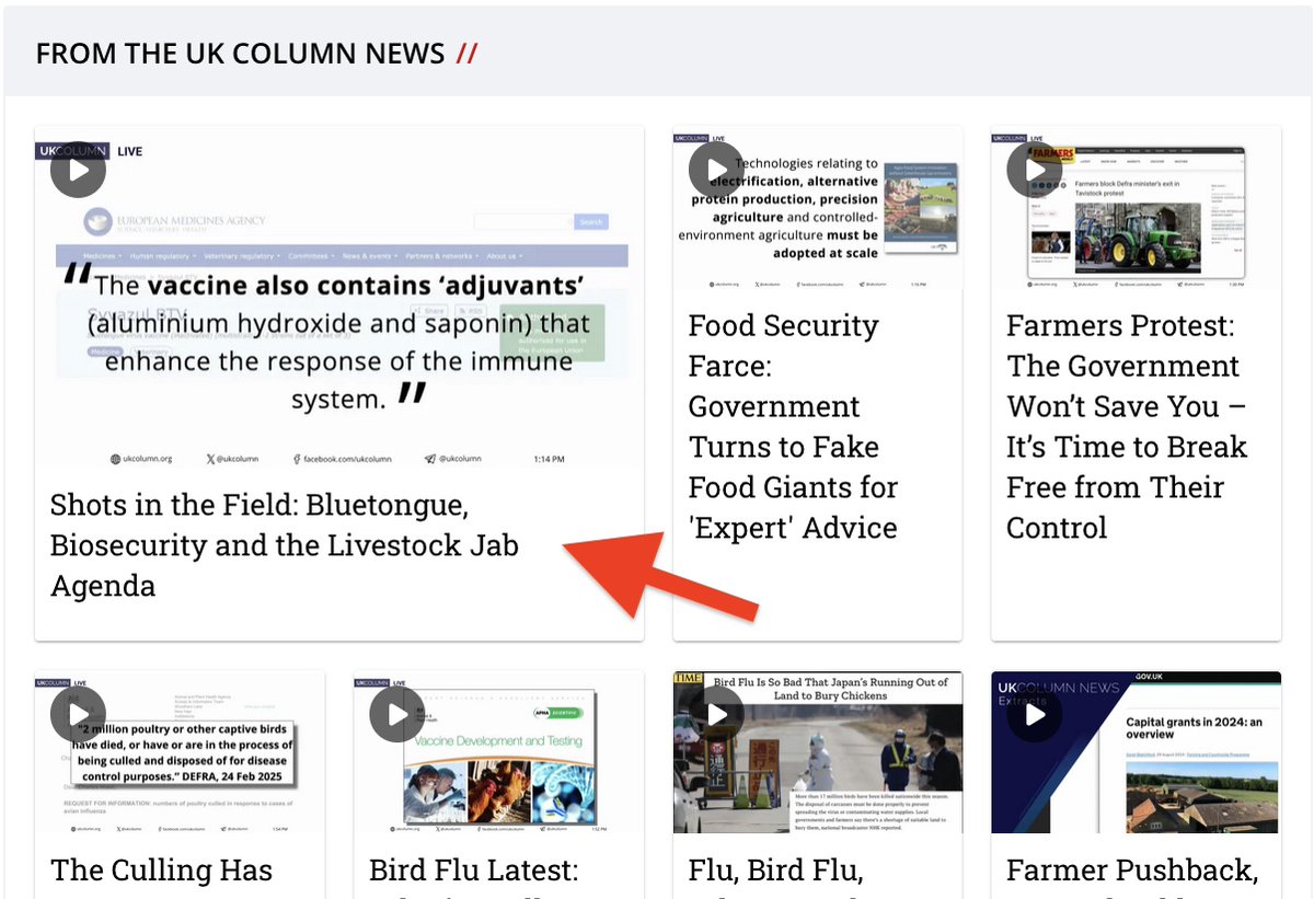 From 1st July, farmers in England will be allowed to move animals without a Bluetongue licence — but only because vaccination is now quietly expected.

As reported on UK Column News, the Animal and Plant Health Agency (APHA) is tightening its grip. The slaughter-on-suspicion