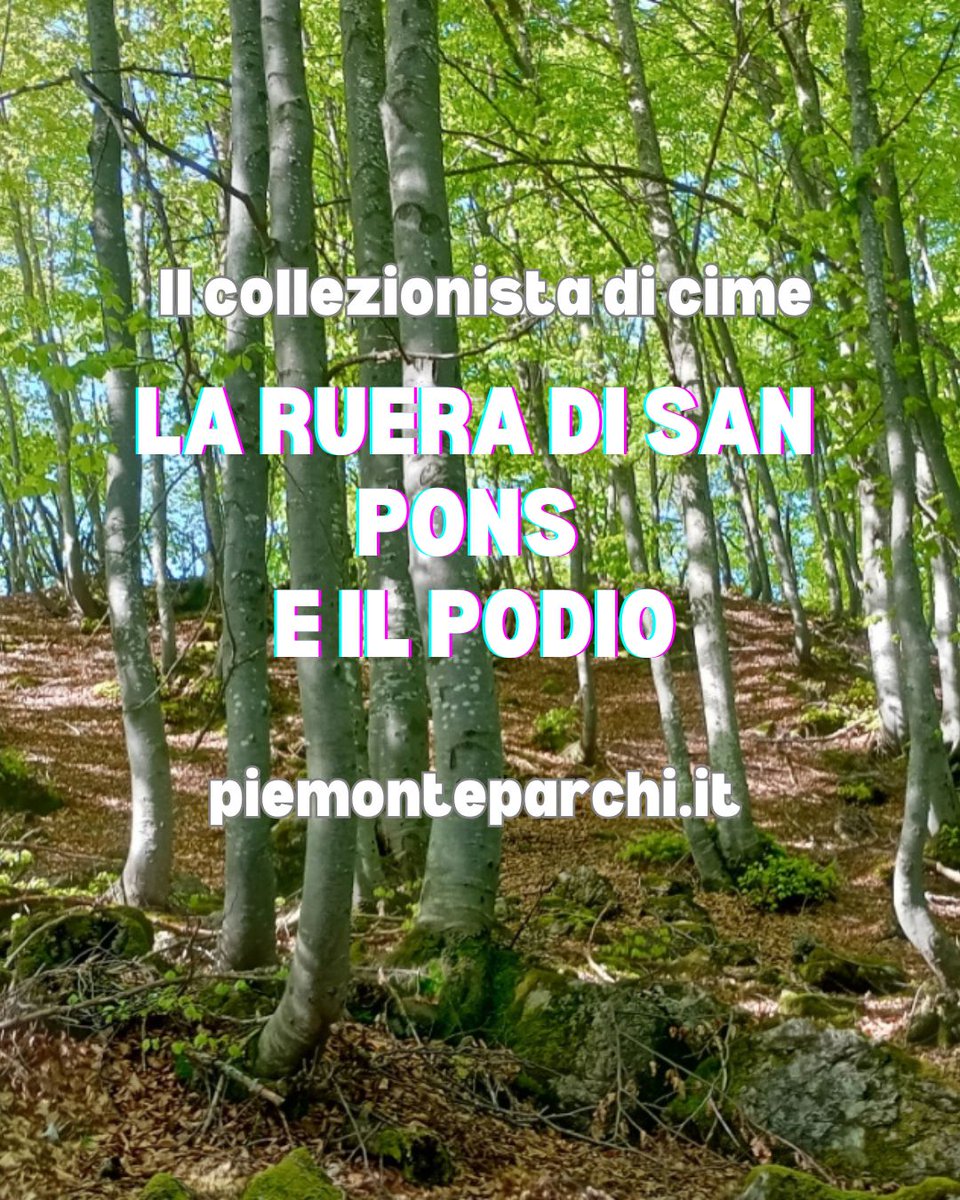 A maggio arriva il momento di lasciarsi alle spalle colline e di tornare alla montagna, su una cima quasi sconosciuta, la Ruera di San Pons (1697 metri di altezza, 125 metri di prominenza).

Leggi l'articolo su piemonteparchi.it 

#parchidavivere