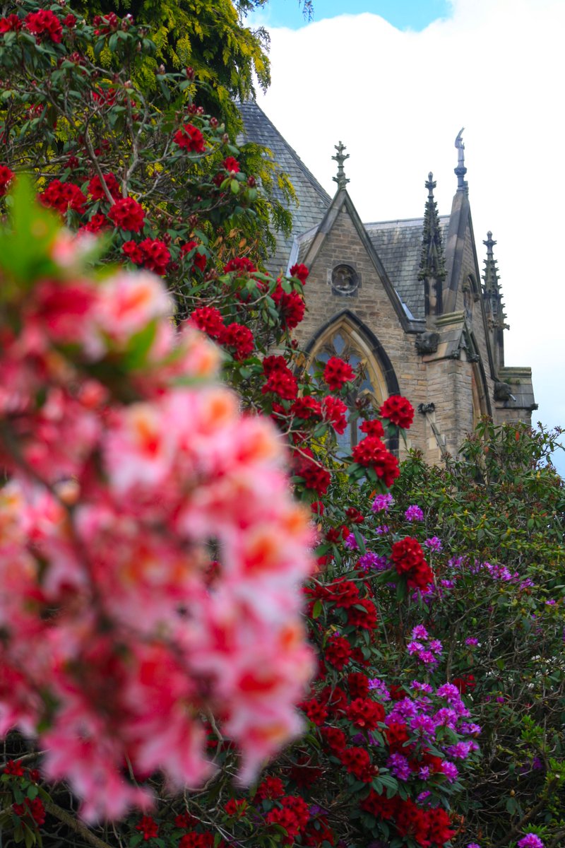Ushaw Historic House, Chapels & Gardens (@ushawdurham) on Twitter photo Who knew fairytales were rooted in County Durham?
๐
At Ushaw, the flowers are gossiping, the chapelโs showing off its best angles, and the spring vibes are turned all the way up. ๐๐บ
#Ushawesome #DaysOutInDurham #NorthEast #Gardens <a href="/ThisisDurham/">This is Durham</a> <a href="/Historic_Houses/">Historic Houses</a> Who knew fairytales were rooted in County Durham?
๐
At Ushaw, the flowers are gossiping, the chapelโs showing off its best angles, and the spring vibes are turned all the way up. ๐๐บ
#Ushawesome #DaysOutInDurham #NorthEast #Gardens <a href="/ThisisDurham/">This is Durham</a> <a href="/Historic_Houses/">Historic Houses</a>
