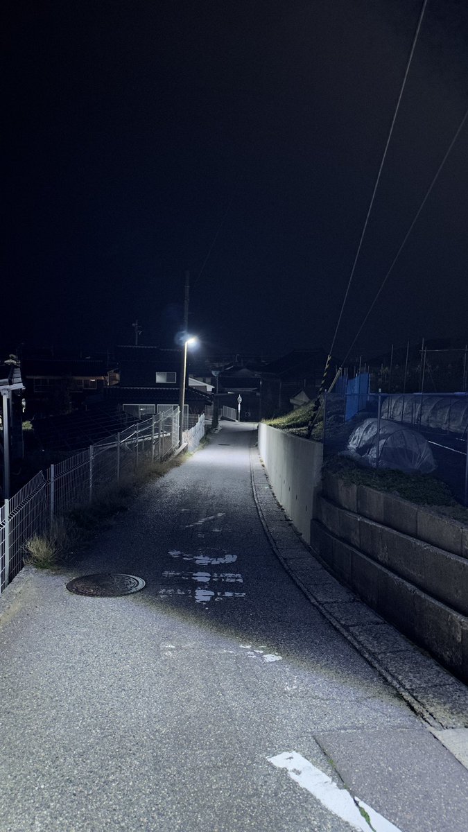 iiroji_bot's tweet image. 