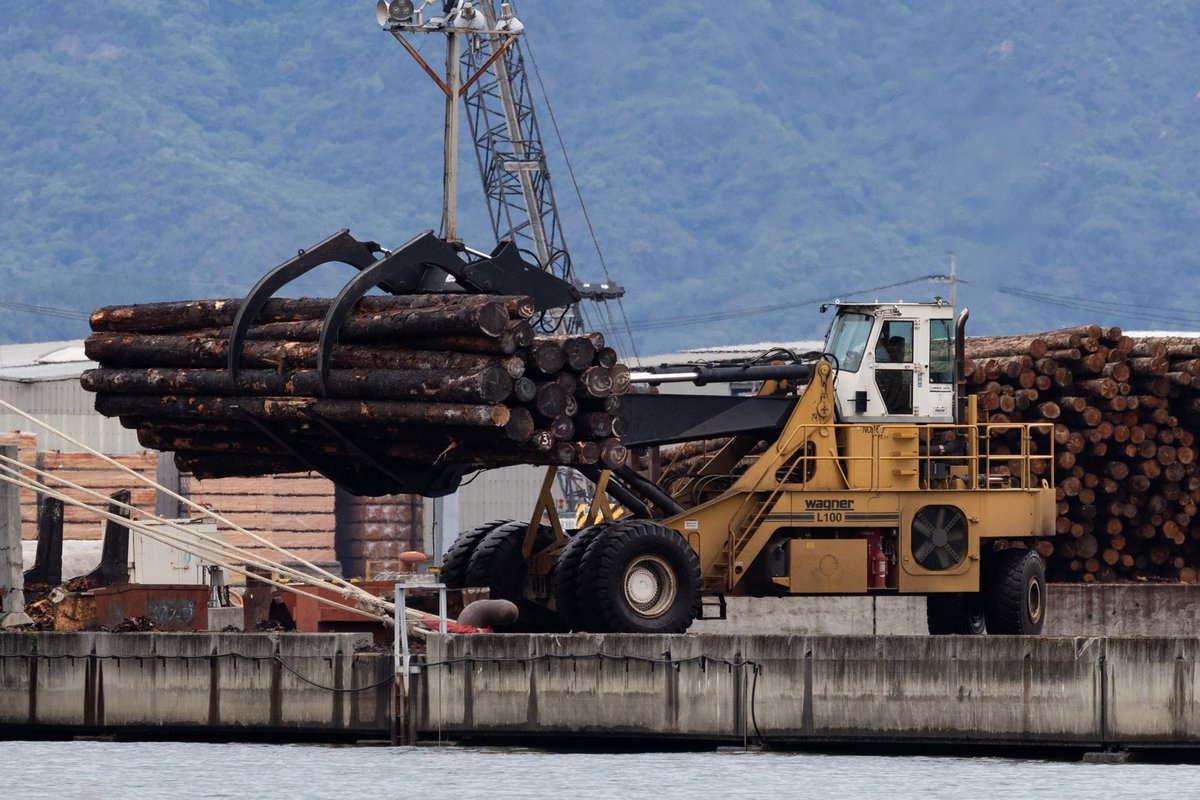 Wagner L100 Logstackers.