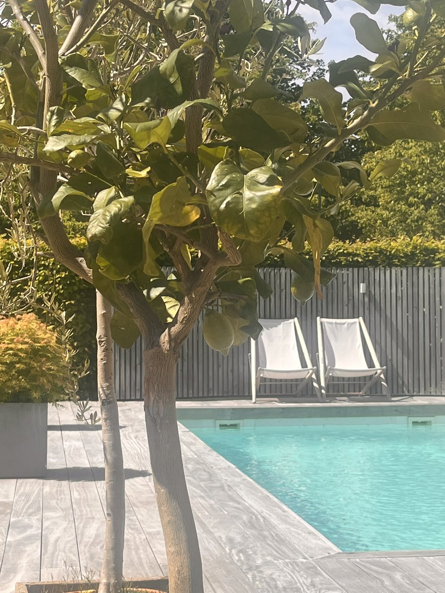 manlinger's tweet image. ☀️