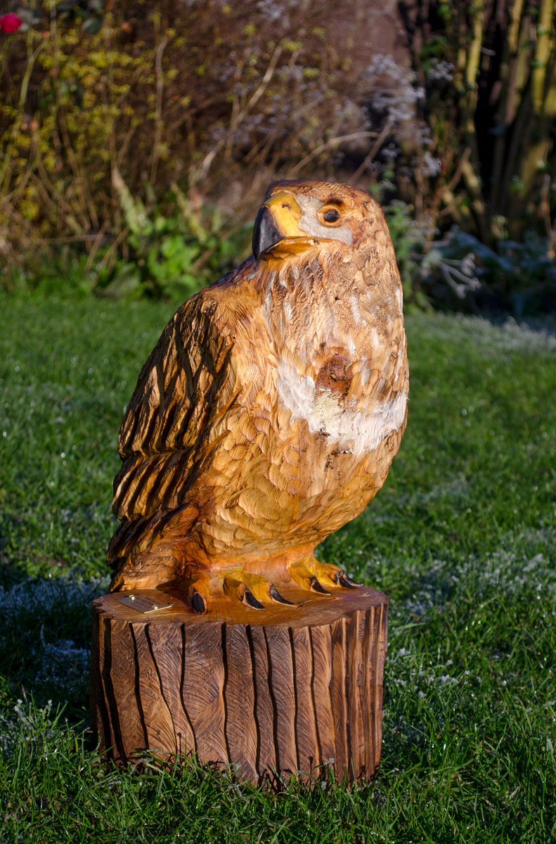 While Owl's are technically birds of prey, this Buzzard is a little different to my normal carving #woodcarving #wood #carving #art #handmade #bespoke #sculpture #wildlife #buzzard #birdofprey
