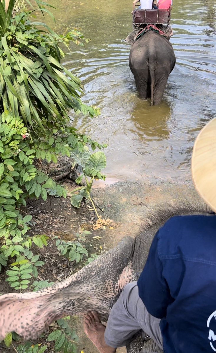 아멜리아 에어하트 tweet media