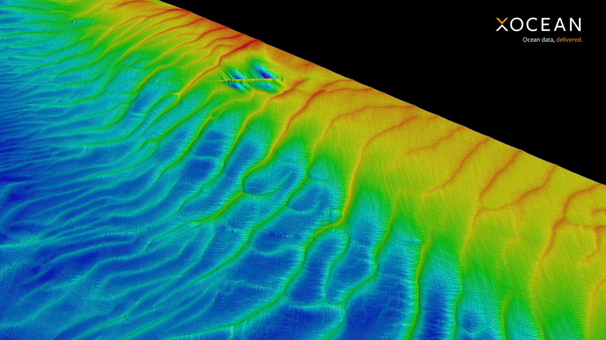 XOCEAN’s high-resolution seabed data is essential for identifying potential vulnerabilities and informing targeted investigations.

To find out more about we can support your data needs visit xocean.com
