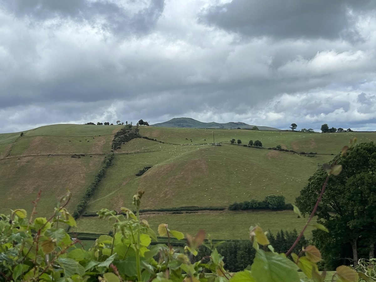 Farmers have generally resisted reform to subsidies. This picture in May shows the combination of drought plus overstocking of sheep on the uplands munching the grass back to the soil, which will create erosion and reduce soil quality.