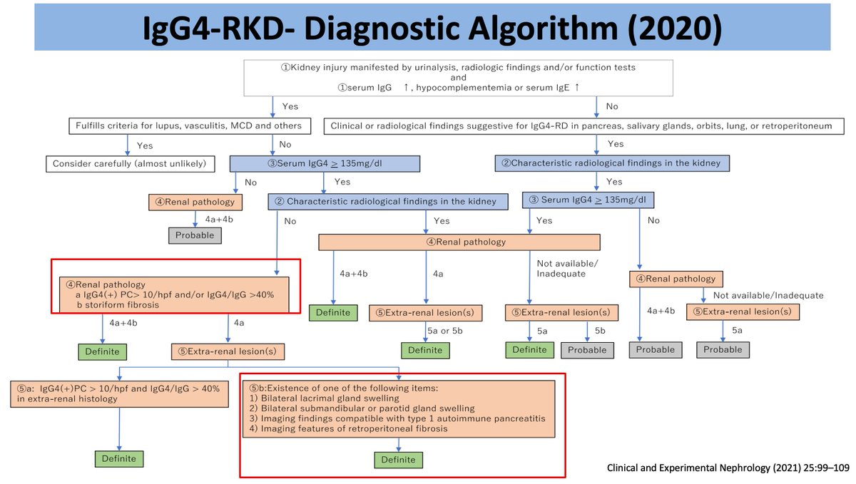 AS (@ren_familia) on Twitter photo 15/n Diagnostic algorithm for IgG4-RKD
Diagnosis = Multimodal
🧠 High suspicion in AIN w/ low complement
🔬 Biopsy: Storiform fibrosis, IgG4+ PCs >10/hpf
🧪 Supportive labs & imaging
📊 Diagnostic criteria evolving (2011 → 2020 updates)
#ECNeph <a href="/ISNkidneycare/">Int Society of Nephrology</a> 15/n Diagnostic algorithm for IgG4-RKD
Diagnosis = Multimodal
🧠 High suspicion in AIN w/ low complement
🔬 Biopsy: Storiform fibrosis, IgG4+ PCs >10/hpf
🧪 Supportive labs & imaging
📊 Diagnostic criteria evolving (2011 → 2020 updates)
#ECNeph <a href="/ISNkidneycare/">Int Society of Nephrology</a>