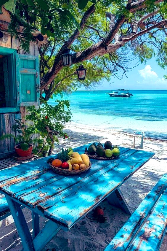 JetteCarole's tweet photo. Bonne journée 💙 https://t.co/tSn8OUN9nk