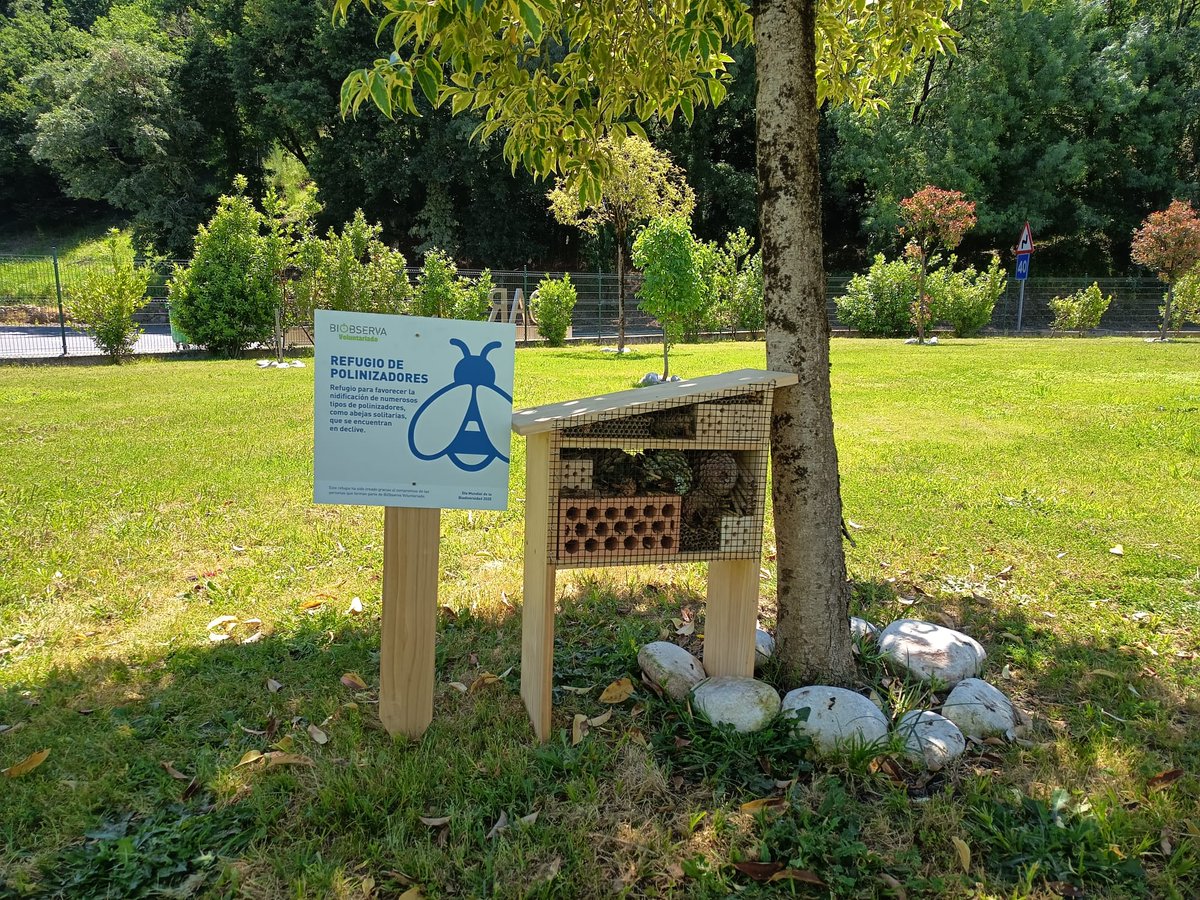 🐦🌼 Esta semana celebramos os censos de primavera do proxecto #BiObserva e construímos refuxios de polinizadores!

🐦  En <a href="/PazodeRaxoi/">Concello de Santiago</a>, xornada en familia con <a href="/SEO_BirdLife/">SEO/BirdLife</a> e <a href="/DominguezXesus/">Xesús Domínguez</a>. 
🐦  En <a href="/OurenseConcello/">Concello de Ourense</a>, compañeiros de diferentes departamentos e <a href="/Auladanatureza/">Coordinador Auladanatureza</a>.