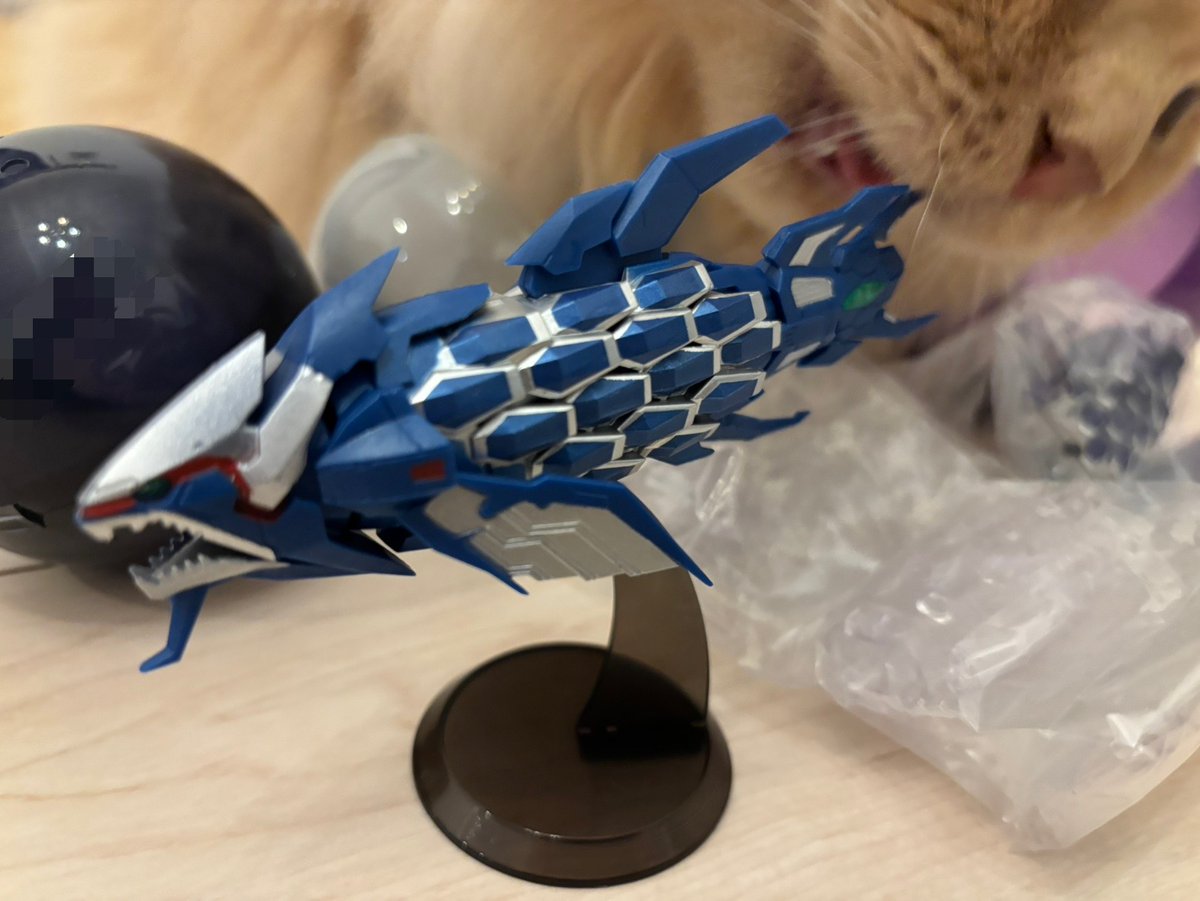 syutarof's tweet photo. やっと見つけた。何件も探して最寄りのガチャ森１日置きに確認してやっと見つけたら最後の３つって、そんなに回されてるのかコレ。とりま３色ゲット https://t.co/HobMYXlJmp