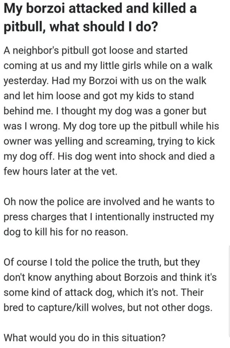 DAKKADAKKA1's tweet photo. Borzoi disinformation on the timeline 😔 https://t.co/AL38RhSbfQ