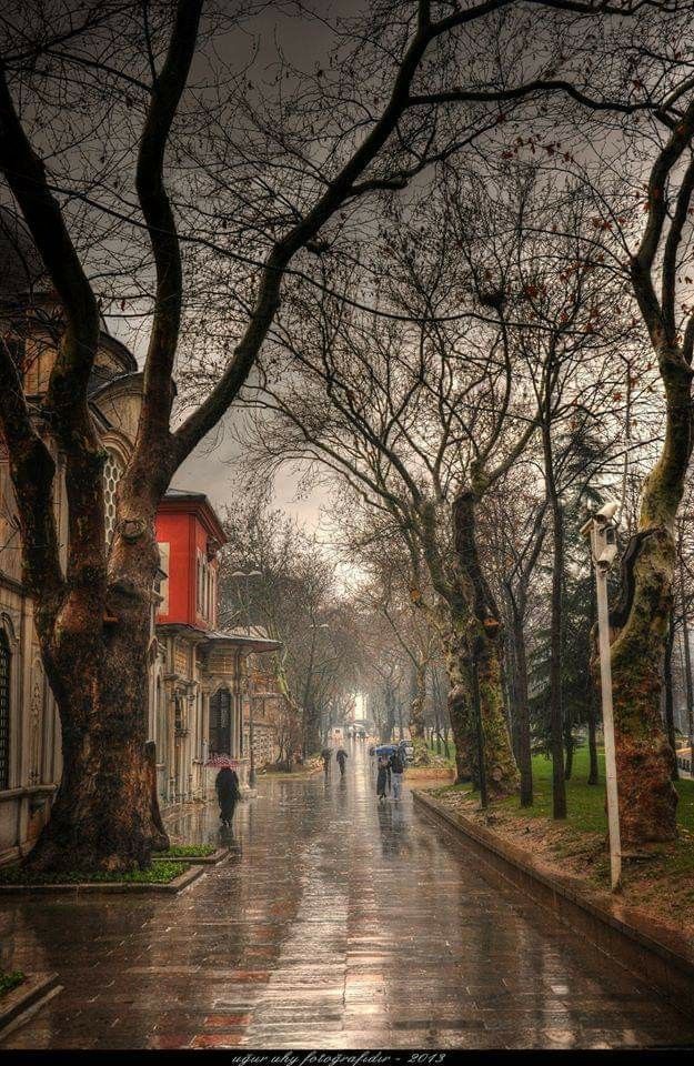 A: Mayıs'ın son yağmuru yağıyor Hicvi. Biz de hayatın son demlerinde olabiliriz.
B: Gene damara bağladın. Acele et, duygusal şovuna sonra devam edersin. 
A: Bu toprak kokusunu içine çekmediğin...
B: Aynen abi, gel Allah aşkına. Her yerinden romantizm fışkırıyor. Ya Sabır!