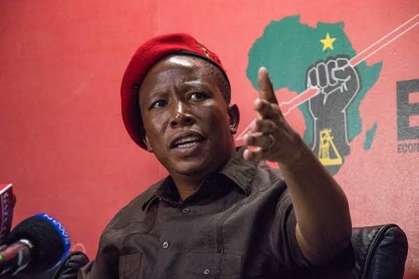 MSHANGANI$T🦅🇿🇦+🇿🇼 tweet media