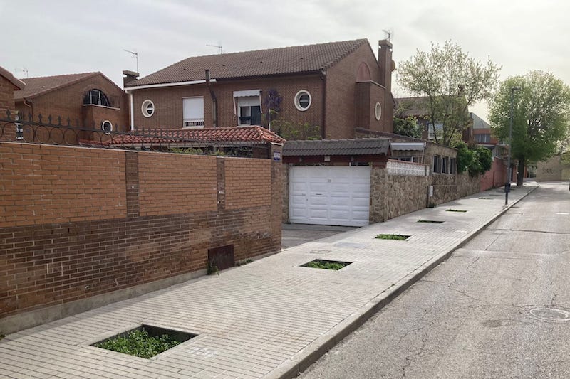 A veces parece que los árboles llegan a la ciudad como llegan las farolas: en camión, con grúa, y sin raíces.

No hay ceremonia.
No hay suelo preparado con mimo.
No hay gesto de cuidado ni promesa de futuro.
Solo una zanja rápida, tierra de obra y un alcorque que más que cuna, es