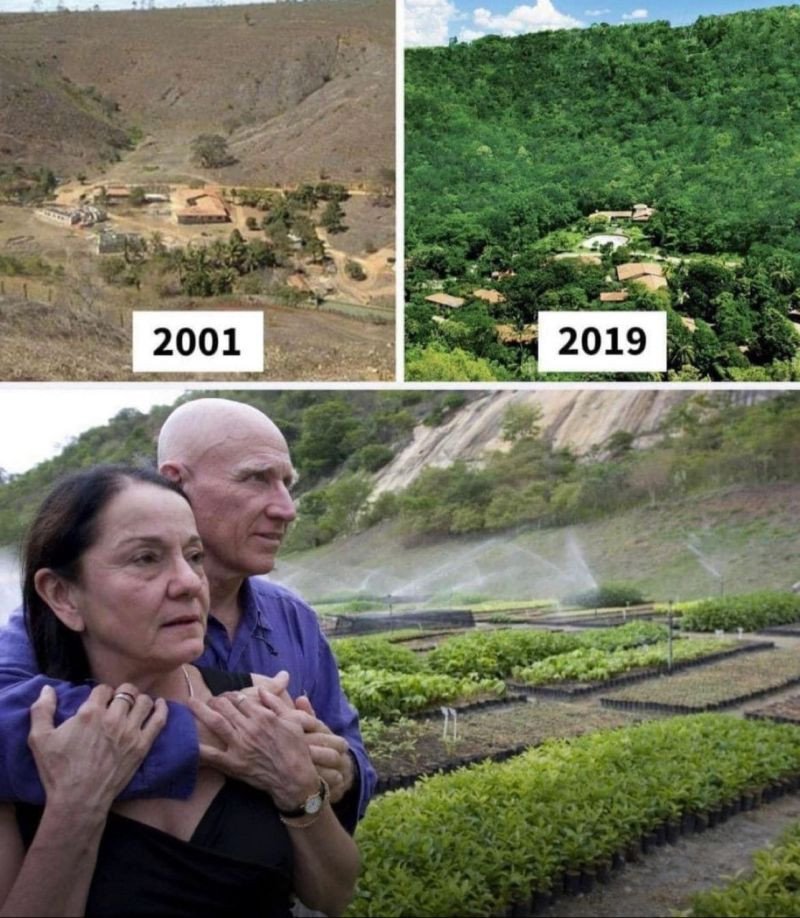 AriaaJaeger's tweet photo. RIP Brazilian social documentary photographer, photojournalist, UNICEF Goodwill Ambassador Sebastião Salgado. Lélia Wanick & Sebastião Salgado planted 2 million trees in 18 years, returning 172 bird species, 33 mammals, 15 amphibians, 15 reptiles & 293 plant species #GreatSouls https://t.co/pc4cES5zVg