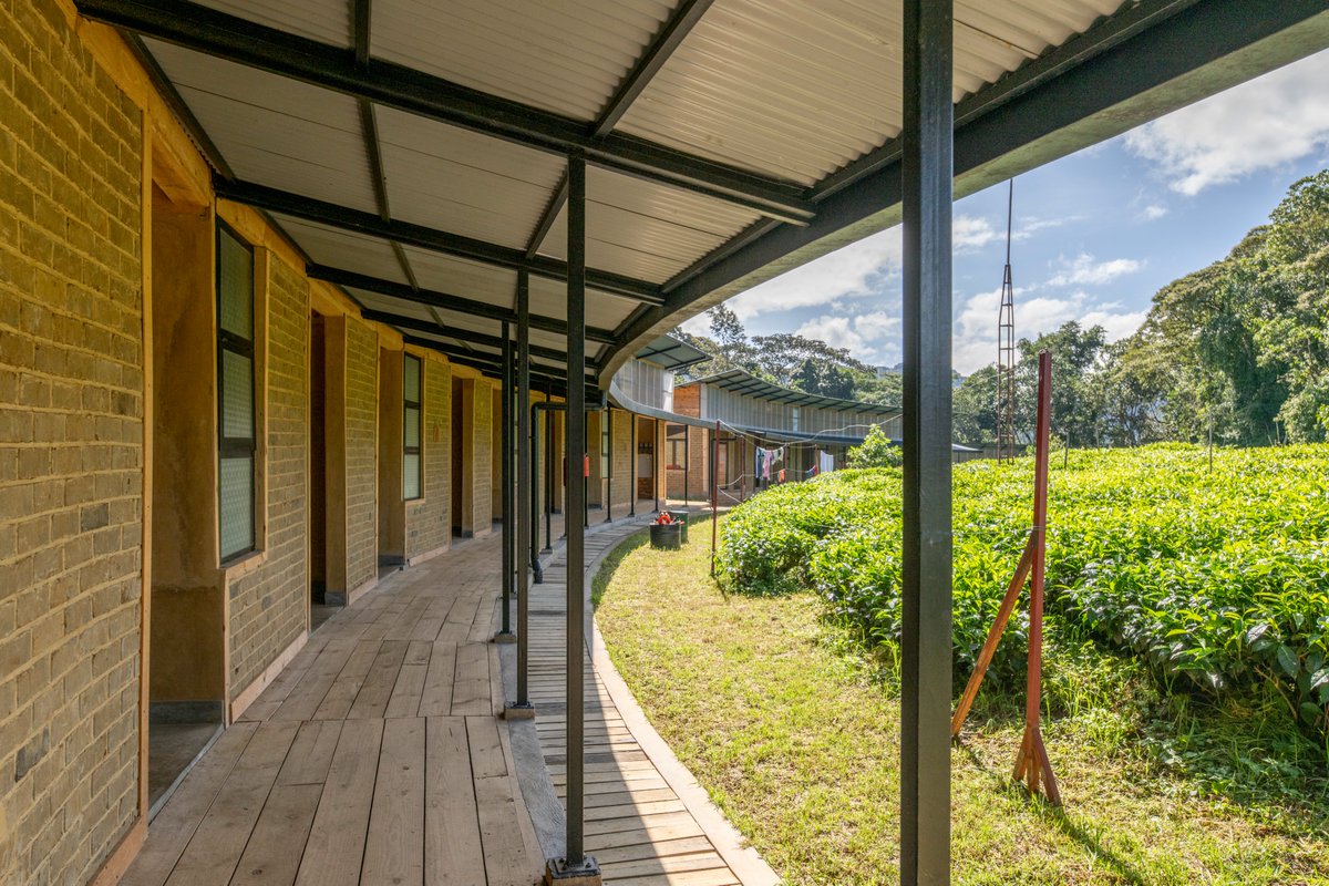 Nyungwe National Park (@nyungwepark) on Twitter photo "Over 500 casual jobs were created through the construction of the Nyungwe NP headquarters – these, and many others created across the portfolio , provided income of almost US$2 million to community members through casual labor" africanparks.org/about-us/annua…
Photos: <a href="/Gael_RVW/">Gael Ruboneka</a> "Over 500 casual jobs were created through the construction of the Nyungwe NP headquarters – these, and many others created across the portfolio , provided income of almost US$2 million to community members through casual labor" africanparks.org/about-us/annua…
Photos: <a href="/Gael_RVW/">Gael Ruboneka</a>