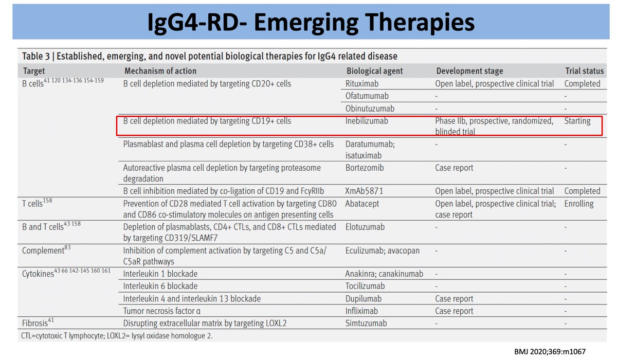 AS (@ren_familia) on Twitter photo 19/n IgG4-RD Emerging therapies 💡
🎯 B-cell targeting: CD20+: Rituximab, Ofatumumab;
CD19+: Inebilizumab (targets plasmablasts!)
🎯 Plasma cell targeting
🎯 Proteasome inhibition
🎯 Anti-fibrotic: Simtuzumab
#ECNeph <a href="/myadla/">manjusha yadla</a> <a href="/dra_miliflores/">Milagros Flores</a> <a href="/ISNkidneycare/">Int Society of Nephrology</a> 19/n IgG4-RD Emerging therapies 💡
🎯 B-cell targeting: CD20+: Rituximab, Ofatumumab;
CD19+: Inebilizumab (targets plasmablasts!)
🎯 Plasma cell targeting
🎯 Proteasome inhibition
🎯 Anti-fibrotic: Simtuzumab
#ECNeph <a href="/myadla/">manjusha yadla</a> <a href="/dra_miliflores/">Milagros Flores</a> <a href="/ISNkidneycare/">Int Society of Nephrology</a>