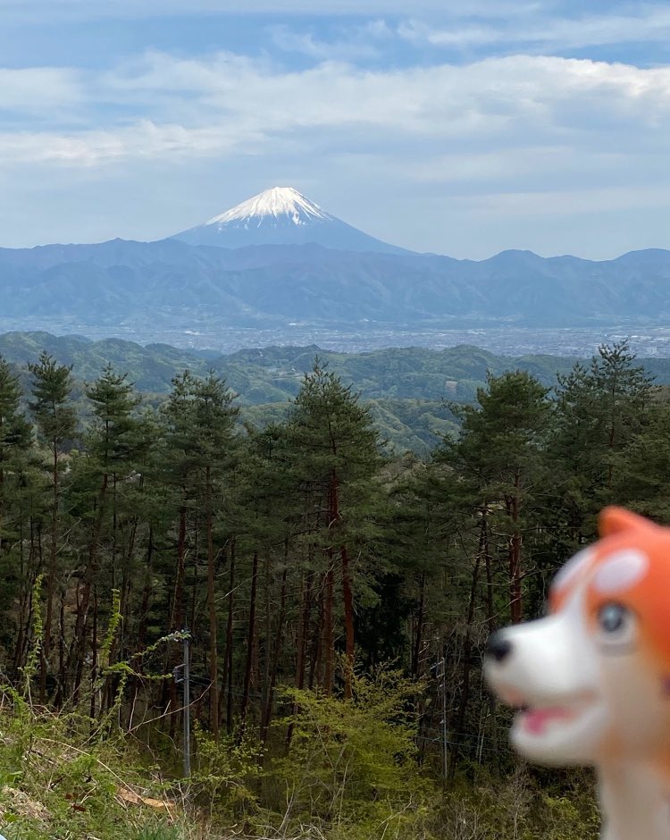 レクイエムの森