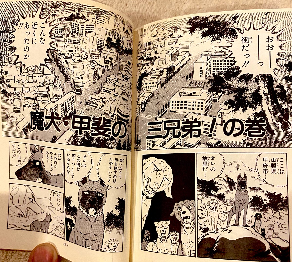 レクイエムの森