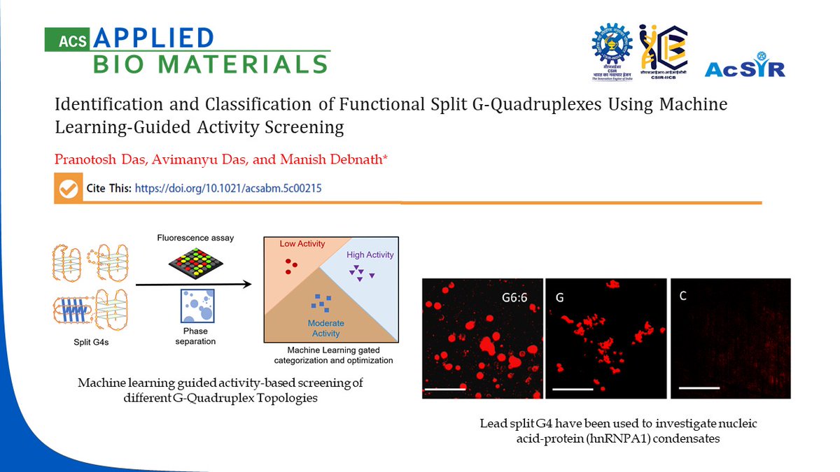 Congratulations to Dr. Manish Debnath, Scientist, CSIR-IICB and his team for their new publication, Identification and Classification of Functional Split G-Quadruplexes Using Machine Learning-Guided Activity Screening”, in ACS Applied Bio Materials. (doi.org/10.1021/acsabm…)