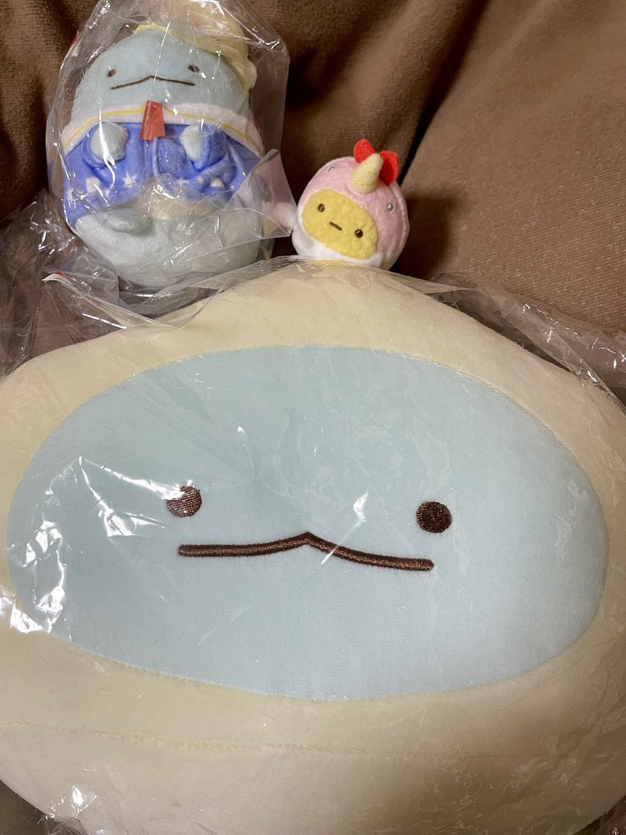 今日イオンに行ったら商品入れ替えで安くなってたのでつい…