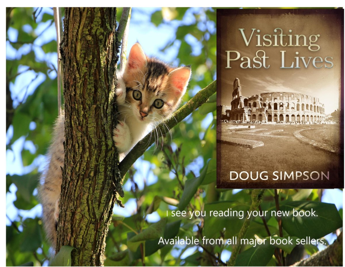 I see you reading your new book.
books2read.com/u/bQEKP6
#NextChapterPub #reincarnation #romance