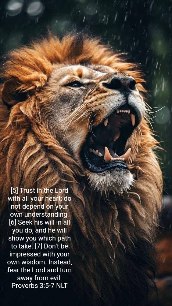 <a href="/Prolotario1/">ȺɾìҽӀ</a>